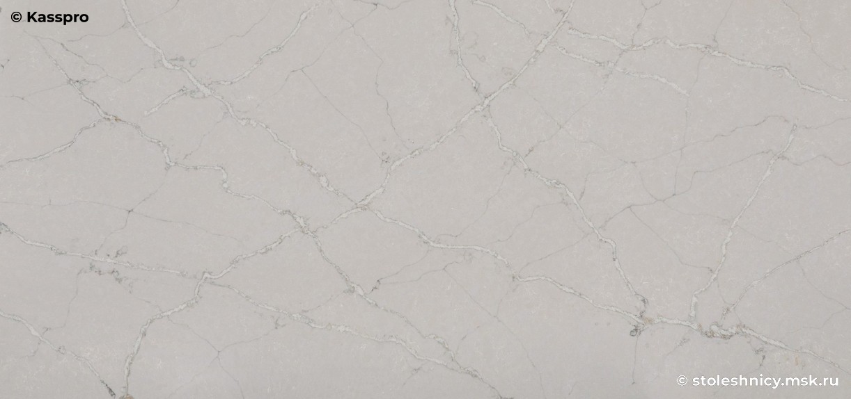 Silestone Victorian Silver фото поверхности столешницы